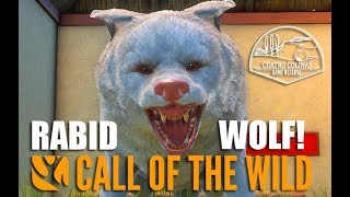 Rabid Wolf ! Cuatro Colinas - The Hunter Call Of The Wild