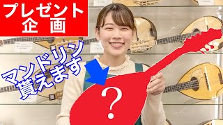 新品のマンドリンをプレゼント！【プレゼント企画】