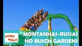 Montanhas-Russas no Busch Gardens