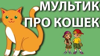 Мультик про кошек - какие бывают породы. Развивающие мультики для детей.