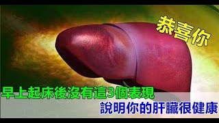 早上起床後沒有這三個表現，恭喜你說明你的肝臟還算健康！
