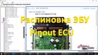 Распиновка блоков управления двигателя ЭБУ Bosch Siemens Magneti Marelli Continental