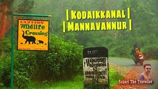 MANNAVANUR |KODAIKKANAL| കൊടൈക്കനാലിൻ്റെ  സുന്ദരി