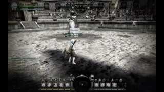 Dragon Nest Страж Vs Страж