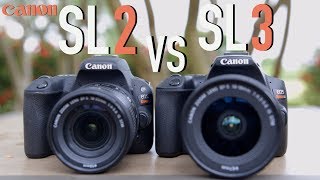 Canon SL2 (200D) vs Canon SL3 (250D)