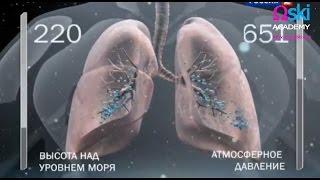 Альпинизм. Высотная гипоксия