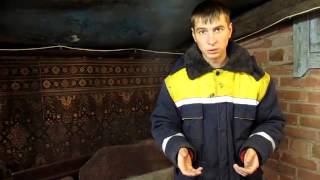 Ещё видео об упаковке зелёного лука