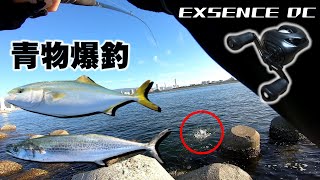 17エクスセンスDCの実釣インプレ！ショアジギングで青物爆釣！