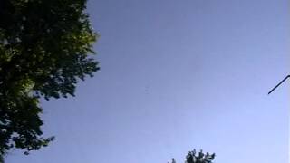 Высоколетные голуби Донецка 2.08.2015г