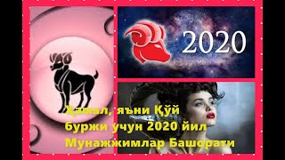 Ҳамал, яъни Қўй Буржи учун 2020 йил Мунажжимлар башорати