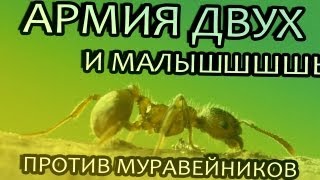 АРМИЯ ДВУХ И МАЛЫШ (Earth Defense Force: Insect Armageddon) #2