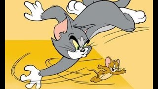 Scratch İki Kişilik Kedi Fare Oyunu