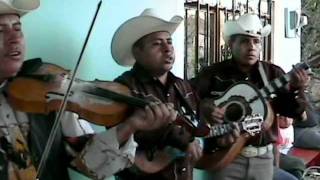 20 MUJERES Y TU DELIRIO - TRIO RETOÑO HUASTECO EN STA. MARIA APIPILHUASCO VER.