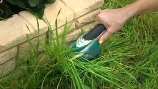 Taille-herbes et sculpte-haies sans fil Bosch Isio