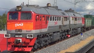 Гонки двух разных поездов на "МЦК" 2М62У-0139 и ЭС2Г-034 "Ласточка"