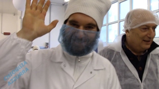 ZUPPE DI PESCE & COZZE ALLA MARINARA | CAM EVOLUTION S.R.L.