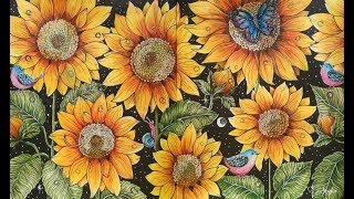 Inspirational Colorists 20th Video – 100 More Pics Update – Coloring Exhibition