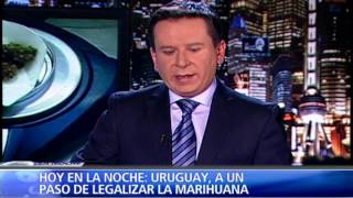 URUGUAY A UN PASO DE LEGALIZAR LA MARIHUANA. I