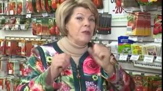 Фитоспорин и Байкал ЭМ для обеззараживания семян. Проблем нет!