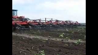 Культиватор С600 c трактором Buhler Versatile 500