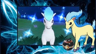 [LIVE!] Shiny Ponyta (Yuna's Birthday Shiny!)