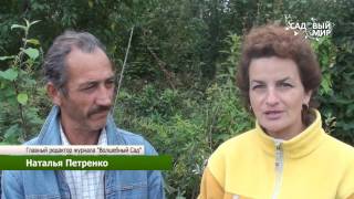 Зимостойкие растения для Средней полосы. Сайт "Садовый мир"