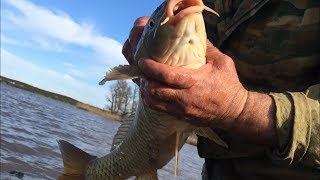 Рыбалка кастинговой сетью с лодки. Крупный сазан.