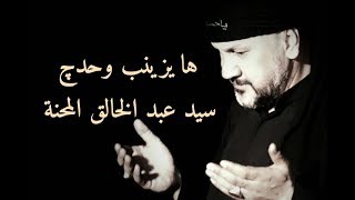 فيديو كليب قصيدة ها يزينب  | الشاعر السيد عبد الخالق المحنة