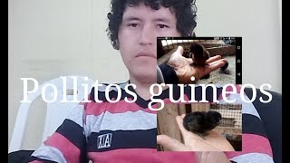 Pollitos guineos sumatra  en nacimiento  del criadero del sur Perú
