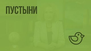 Пустыни. Видеоурок по окружающему миру 4  класс
