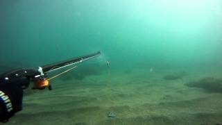 Test Seatec Roller 100 e Geko 110