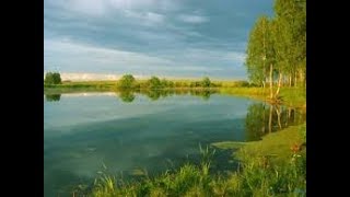 Отдых на природе.Сочный шашлык и рыбалка на экран(телевизор).