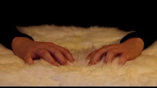 ASMR Scratching & Rubbing (No Talking)
