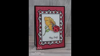 Little LadyBug - Ladybug Frame Card