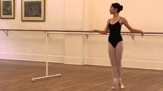 Fundraising for Ballet Summer Intensive