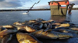Ловля Ротана зимой, по первому льду!