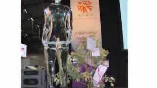 Unusual PR event at AIDS International Conference, Vienna
