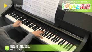 花は桜 君は美し / いきものがかり : ピアノ(ソロ) / 中級