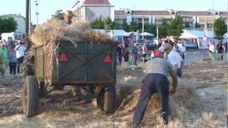 Lavello - "Mietitura e Trebbiatura" - 8 Luglio 2012