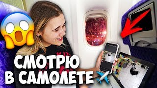 МОИ СОБАКИ ОДНИ! СЛЕЖУ ЗА НИМИ В САМОЛЁТЕ СКРЫТЫЕ КАМЕРЫ В НОМЕРЕ ДЛЯ ПИТОМЦЕВ! Скучаю по ним НОЧЬ 1