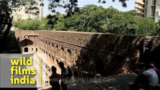 Agrasen ki Baoli ancient stepwell in New Delhi