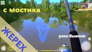 Русская рыбалка 4 - река Вьюнок - Жерех у мостика