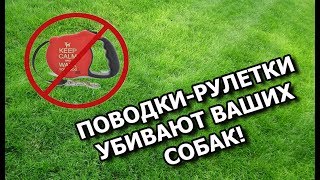 КАК ПОВОДКИ-РУЛЕТКИ УБИВАЮТ СОБАК