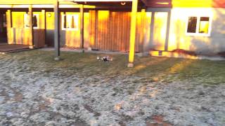 Tricopter micro size