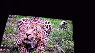 Samsung S24D390HL Viewing Angles