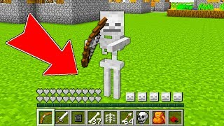 Minecraft - HOW to play SKELETON in Minecraft : NOOB SKELETON vs PRO ZOMBIE! NOOB VS PRO
