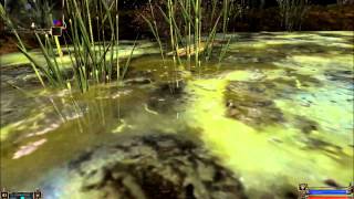 Secret items in Garbage S.T.A.L.K.E.R. Shadow Of Chernobyl
