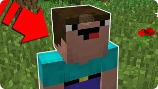 ¿QUÉ HAY DENTRO DE LA CABEZA DEL NOOB DE MINECRAFT? ?