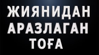 Жиянидан аразлаган тоға | Jiyanidan arazlagan tog'a