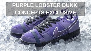 CONCEPTS PURPLE LOBSTER SB DUNK PRO LOW! FULL REVIEW AND UNBOXING.